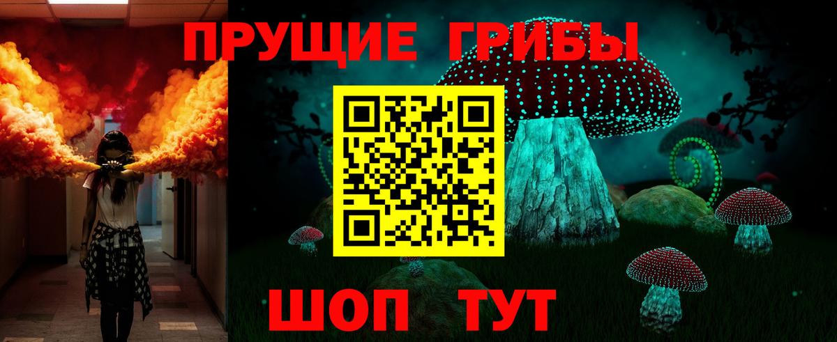Моздок  Галлюциногенные грибы GOLDEN TEACHER  Вход с VPN 