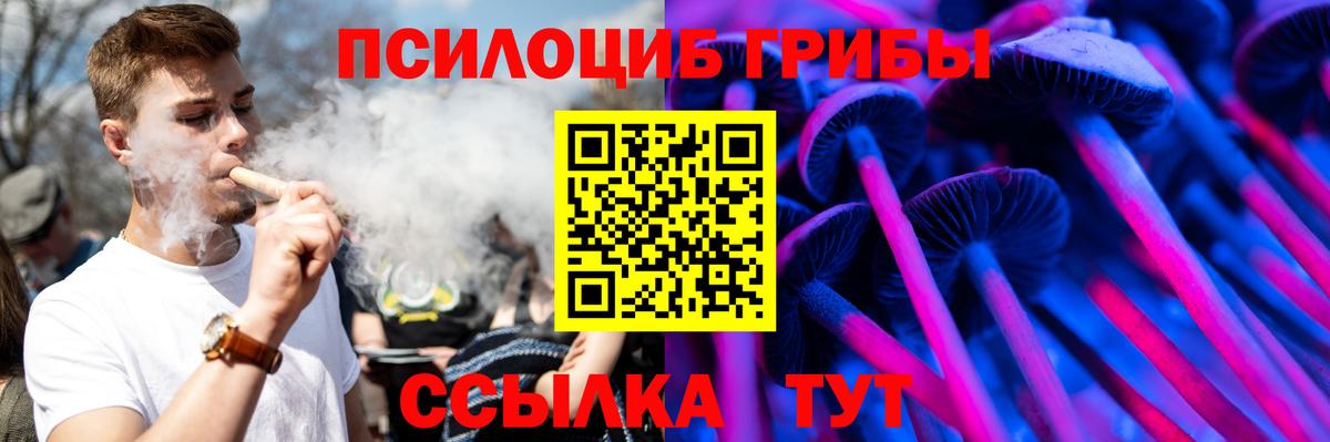 Псилоцибиновые грибы прущие грибы Моздок